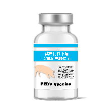 PEDV 候選疫苗示意瓶